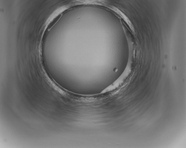 X0000085821285200703301544