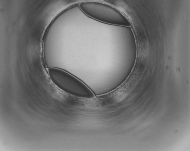 X0000085821287200703301544