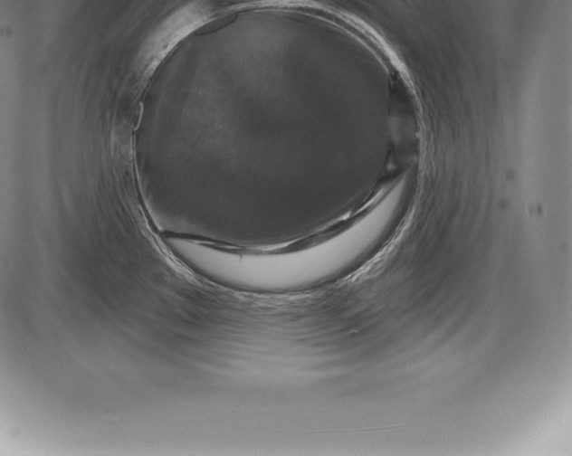 X0000085821289200703301544