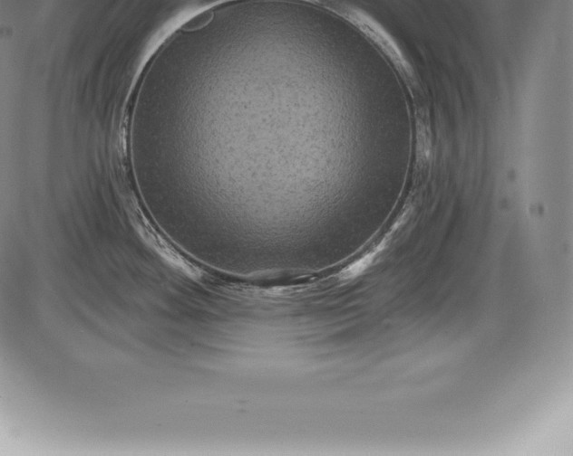 X0000085821292200703301544
