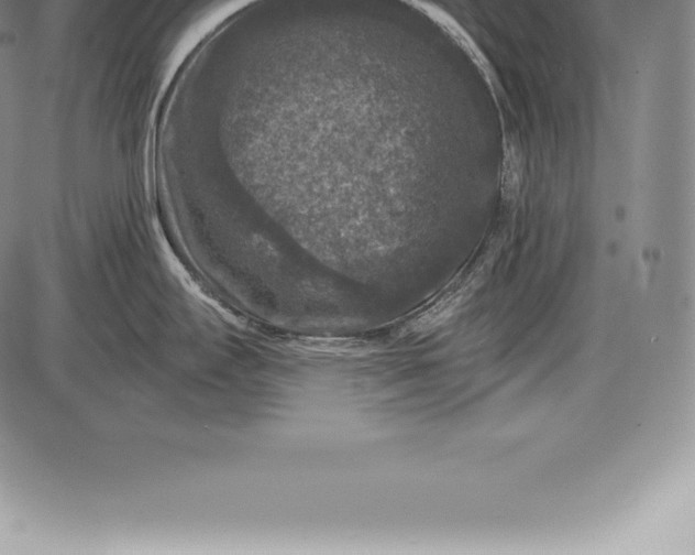 X0000085821295200703301544