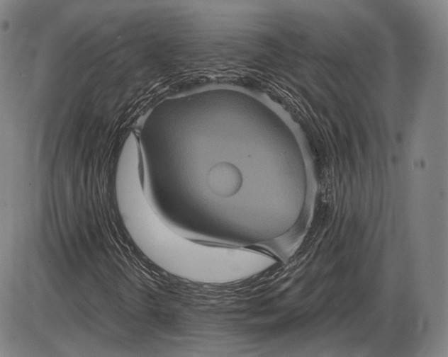 X0000085821298200703301543