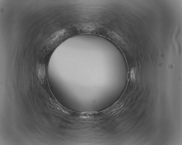 X0000085821299200703301543