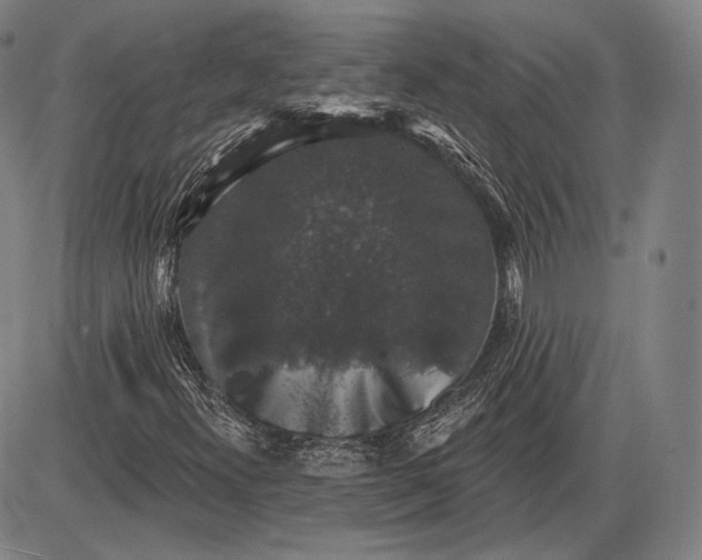 X0000085821300200703301543