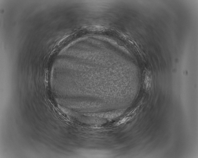 X0000085821301200703301543