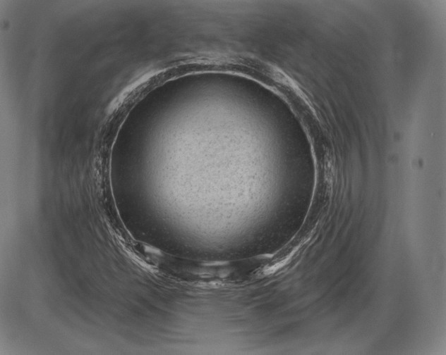 X0000085821304200703301543