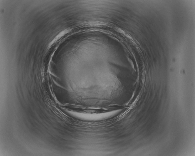 X0000085821306200703301543