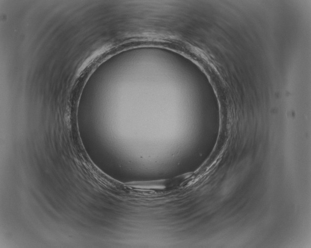 X0000085821307200703301543
