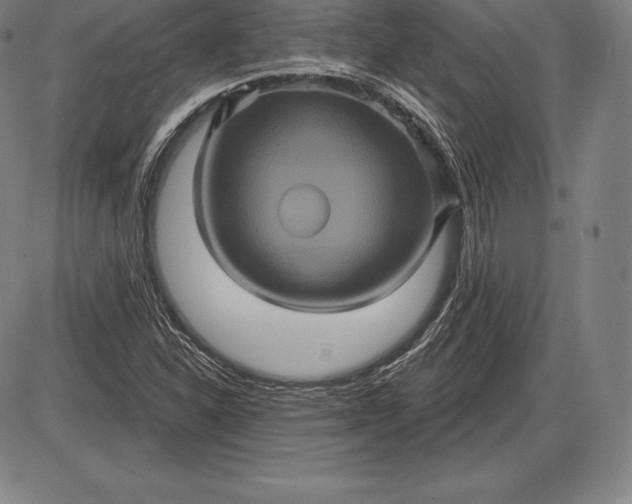 X0000085821310200703301543