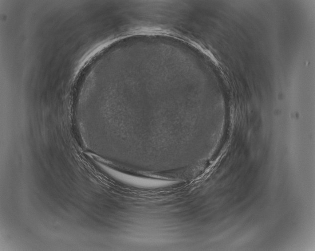 X0000085821311200703301543