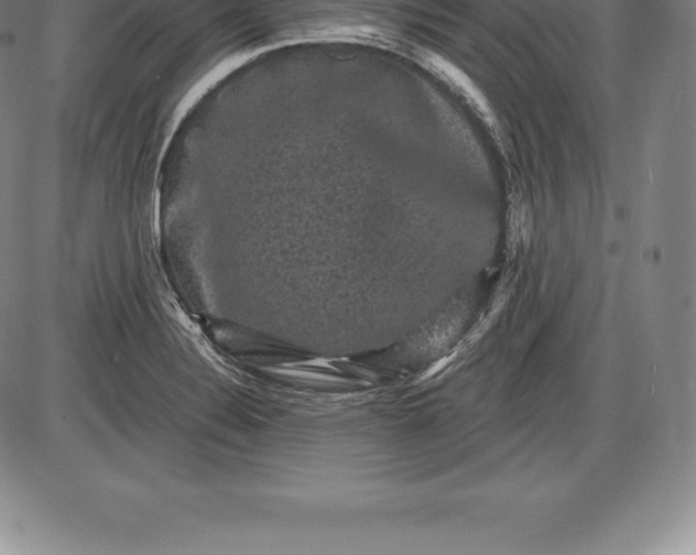 X0000085821324200703301543