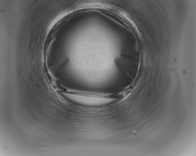 X0000085821328200703301543