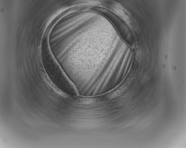 X0000085821332200703301543