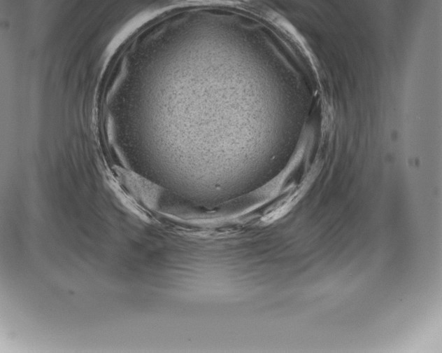 X0000085821336200703301544