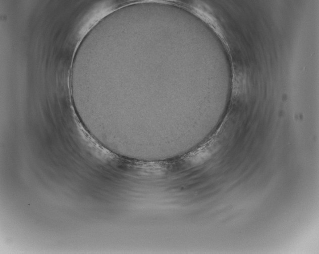 X0000085821338200703301544