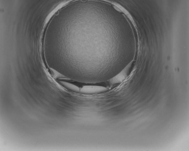 X0000085821341200703301544