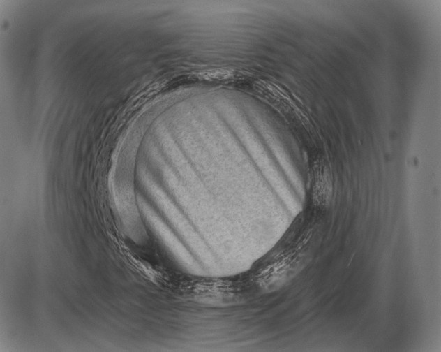 X0000085821345200703301543