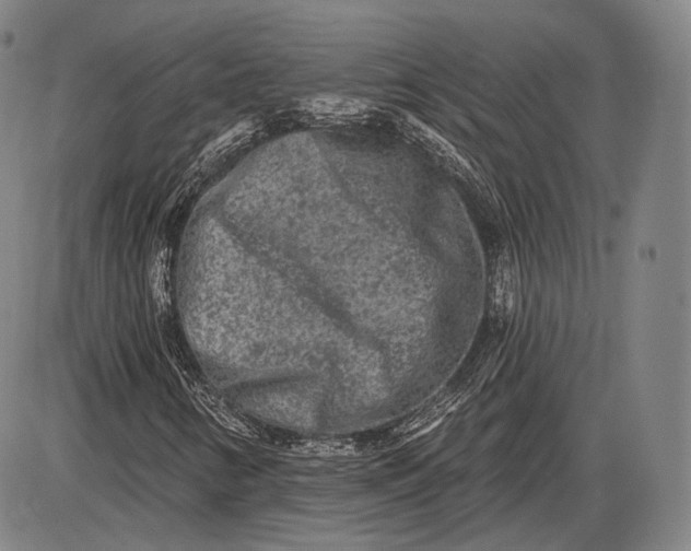 X0000085821346200703301543
