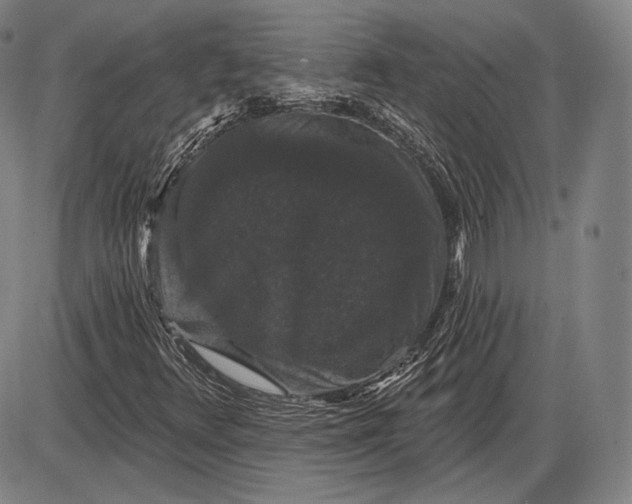 X0000085821348200703301543