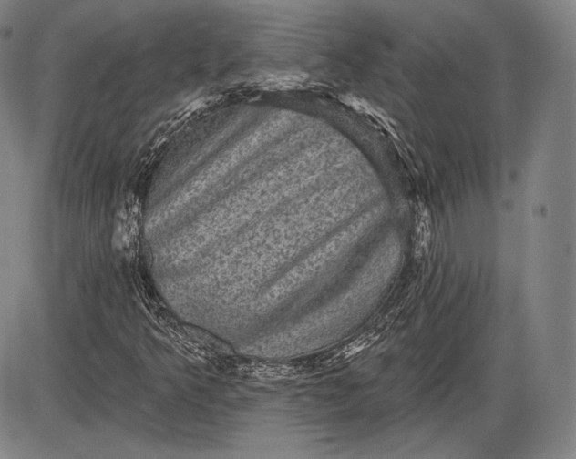 X0000085821349200703301543
