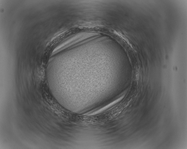 X0000085821350200703301543