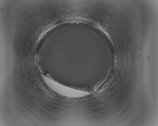 X0000085821352200703301543