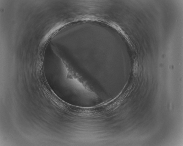 X0000085821359200703301543