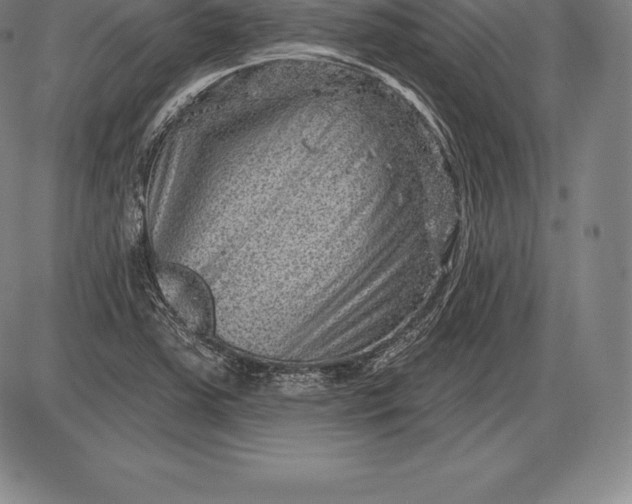 X0000085821363200703301543