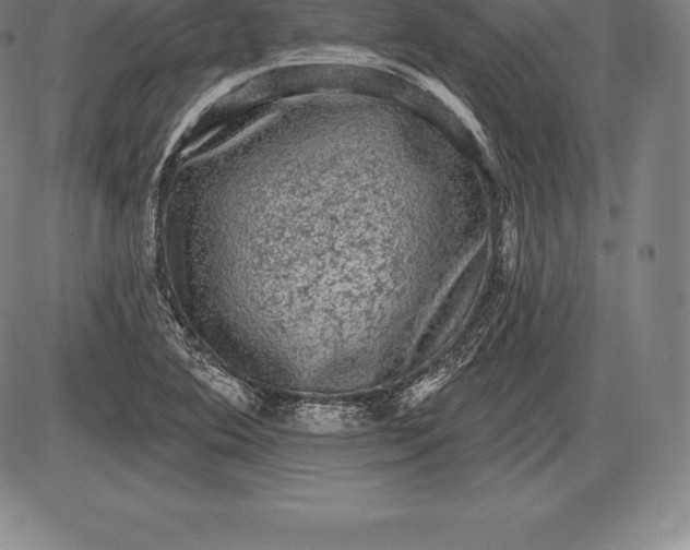 X0000085821364200703301543