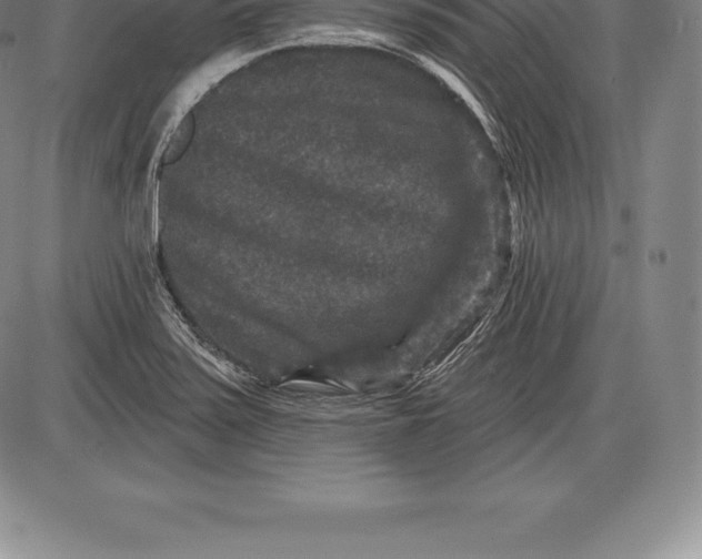 X0000085821371200703301542