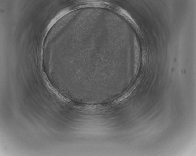 X0000085821378200703301542