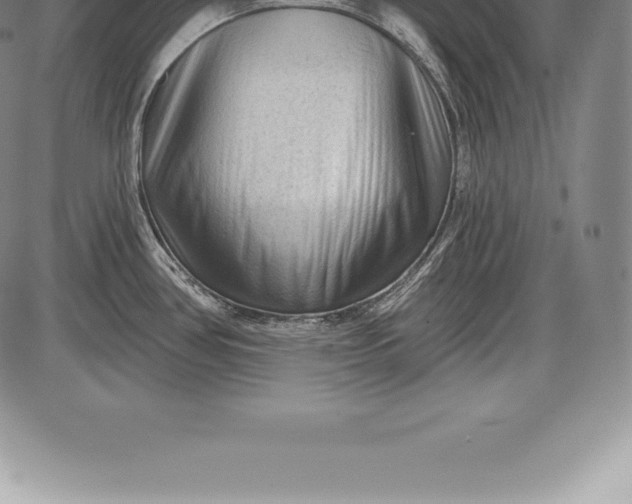 X0000085821386200703301542
