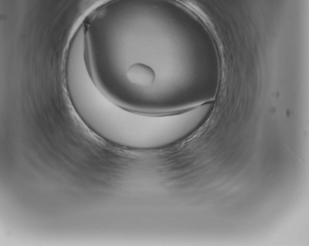 X0000085821392200703301542