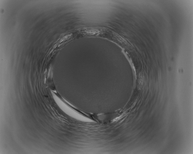 X0000085821394200703301541