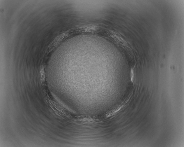 X0000085821395200703301541