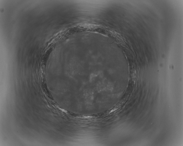 X0000085821397200703301541