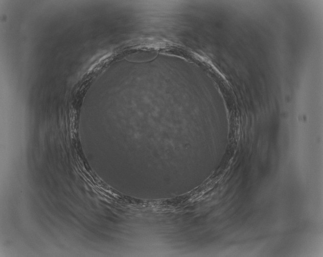 X0000085821399200703301541