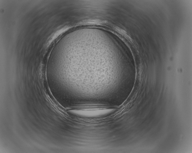 X0000085821404200703301541