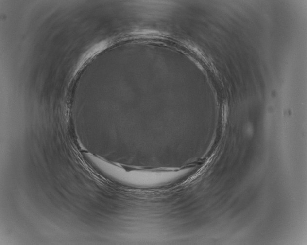 X0000085821405200703301541