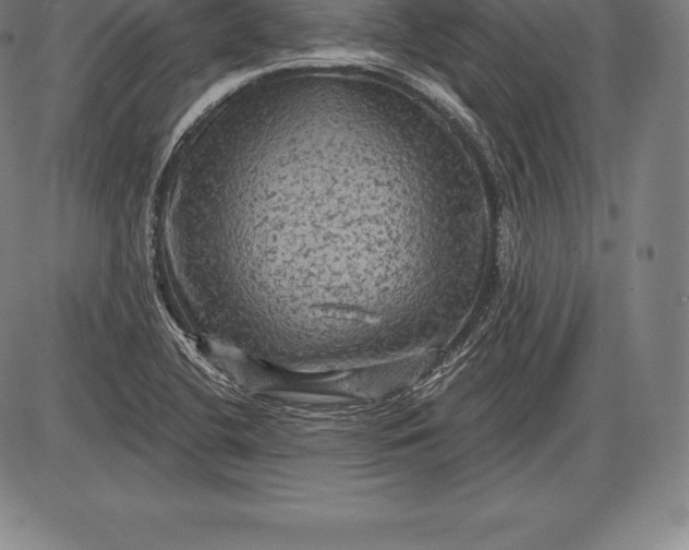 X0000085821412200703301542