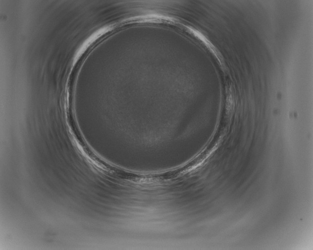 X0000085821418200703301542
