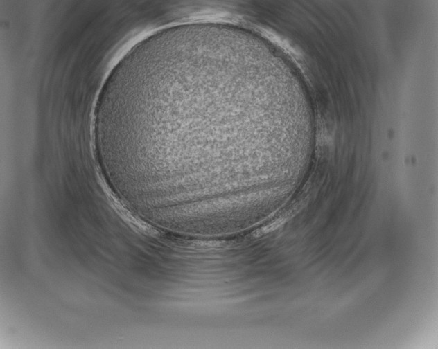 X0000085821423200703301542