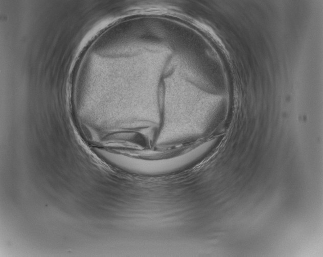 X0000085821424200703301542