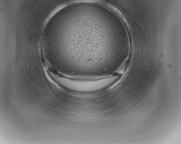 X0000085821433200703301542