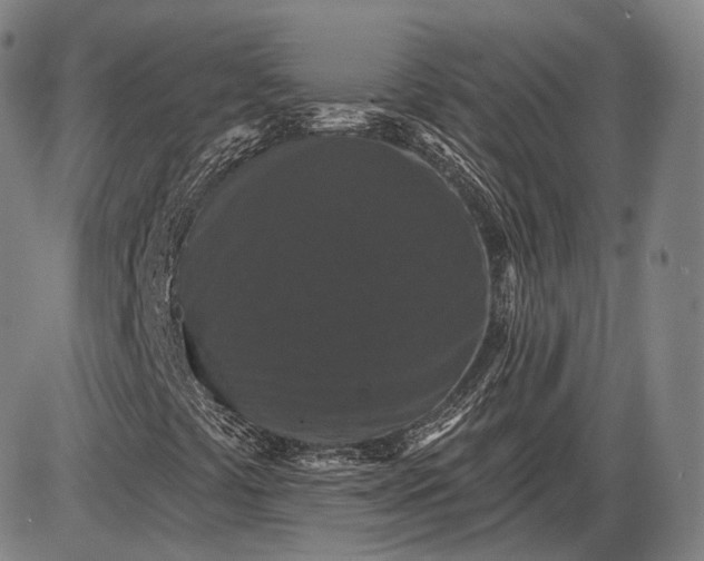 X0000085821441200703301541