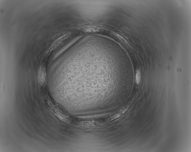 X0000085821444200703301541