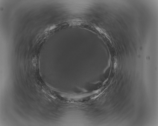 X0000085821445200703301541