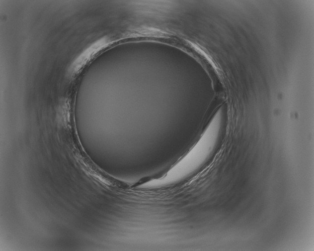 X0000085821455200703301541