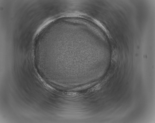 X0000085821456200703301541