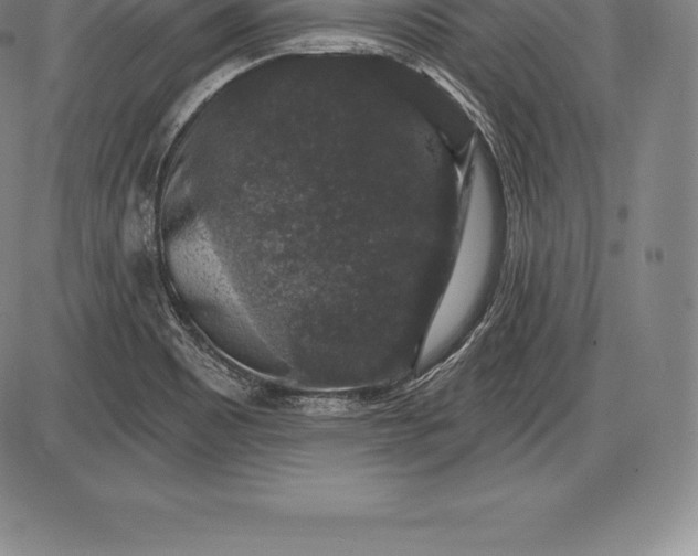 X0000085821465200703301541
